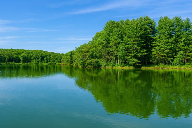 Best Concrete Foundation Repair pros in Waupaca, WI