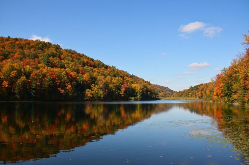 Best Foundation Repair pros in Appleton, WI